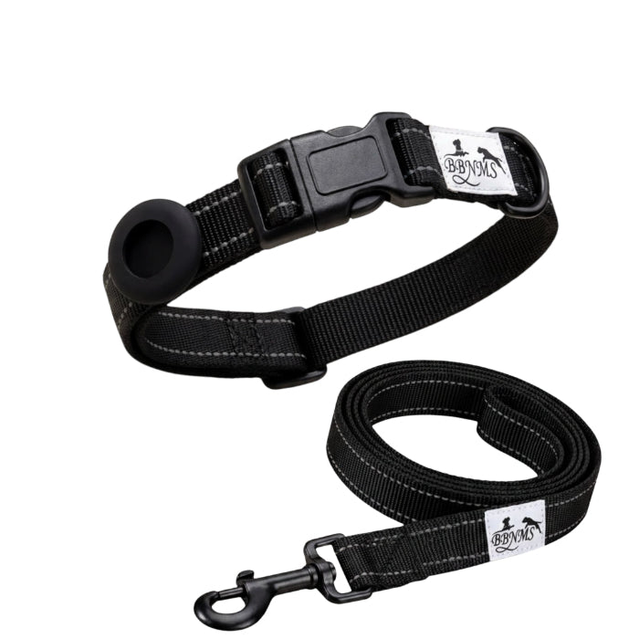BBNMS Reflective Back dog collar (with secure AirTag Holder) and matching leash.