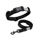 BBNMS Reflective Back dog collar (with secure AirTag Holder) and matching leash.
