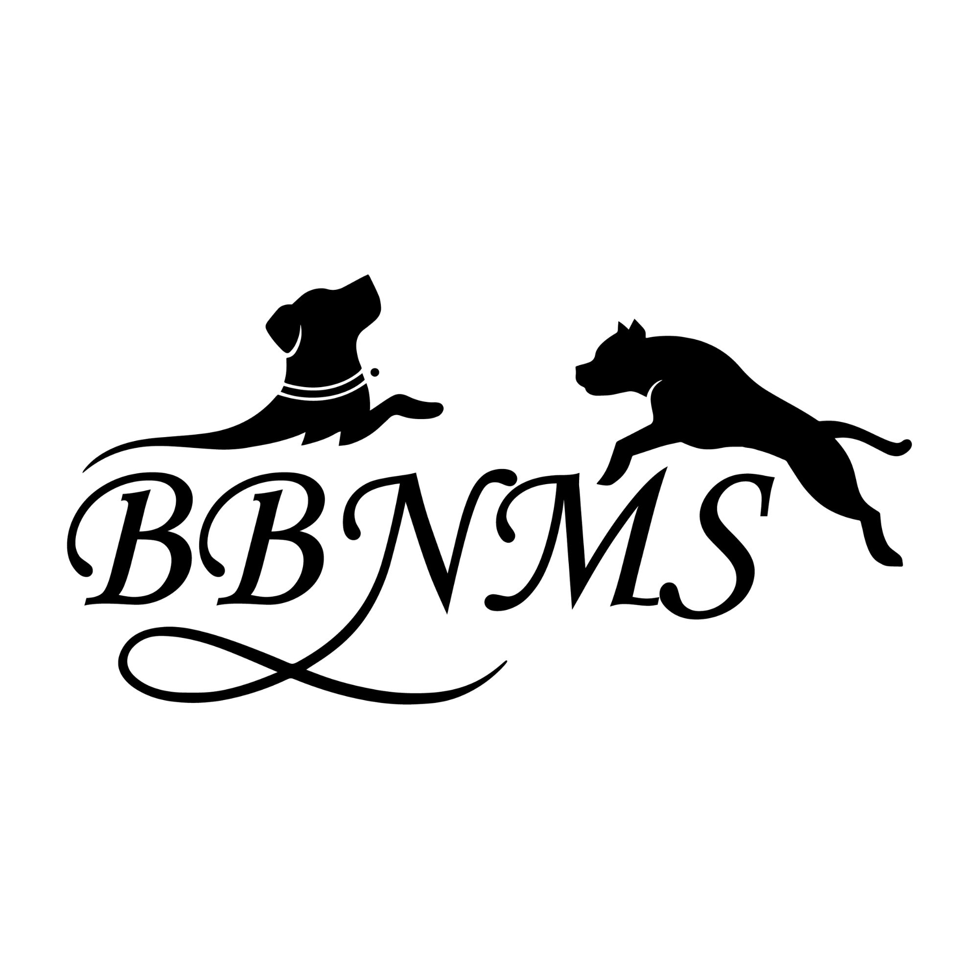 BBNMS